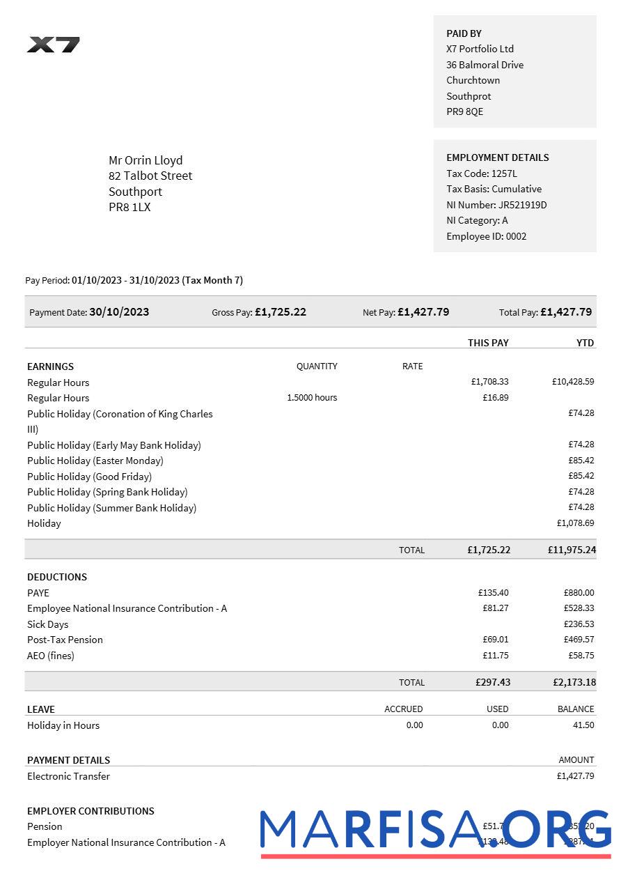 Realistic X7 Portfolio payslip example